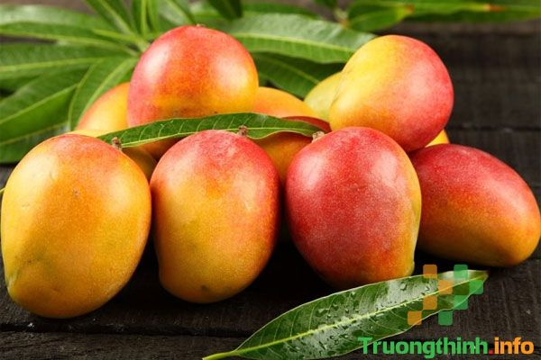 Ăn xoài có nóng không? 10 tác dụng của quả xoài ít người biết
