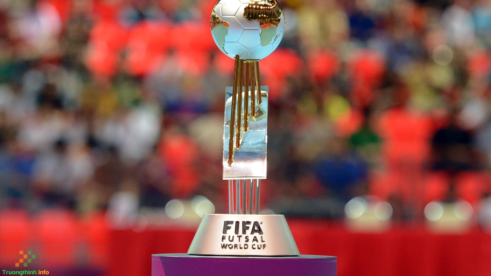                       FIFA Futsal World Cup là gì? Tổ chức mấy năm một lần?