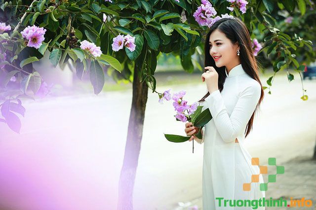                       Chùm thơ về mùa hạ: Những bài thơ 4 chữ, 7 chữ về mùa hè hay nhất