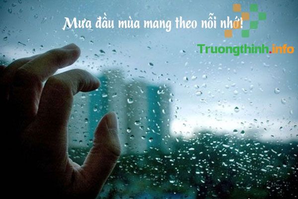 Những stt thả thính trời mưa khiến trái tim Crush thổn thức