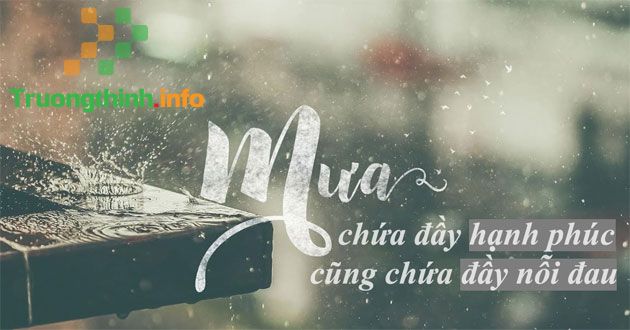                       Những stt thả thính trời mưa khiến trái tim Crush thổn thức