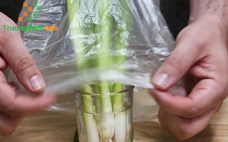 Cách bảo quản hành lá tươi lâu trong tủ lạnh, tủ đông