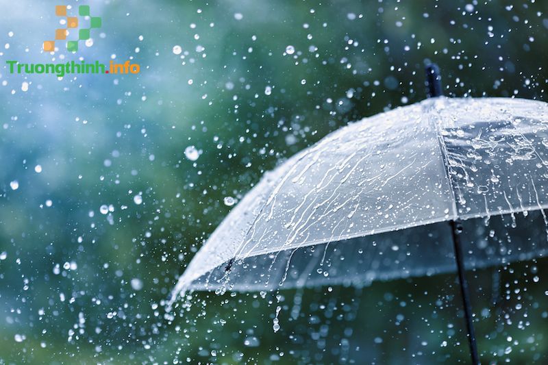                      Thơ buồn về mưa 4 câu ngắn, thơ về mưa tình yêu hay nhất