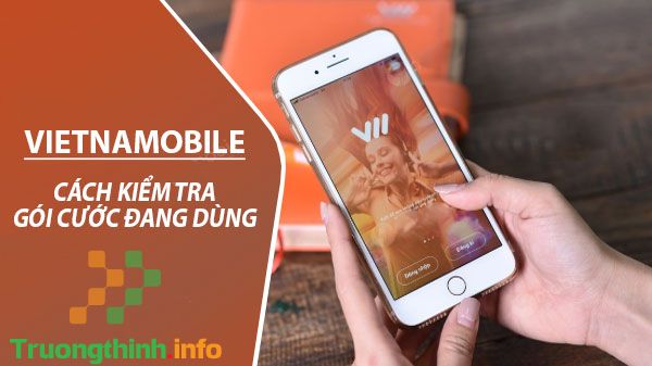                       Cách kiểm tra sim chính chủ, thông tin thuê bao Viettel, Vinaphone, Mobifone, Vietnamobile