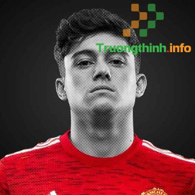                       Đội hình MU 2021: Danh sách cầu thủ, số áo cầu thủ Manchester United hiện tại