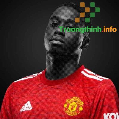                       Đội hình MU 2021: Danh sách cầu thủ, số áo cầu thủ Manchester United hiện tại