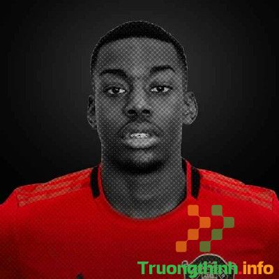                       Đội hình MU 2021: Danh sách cầu thủ, số áo cầu thủ Manchester United hiện tại