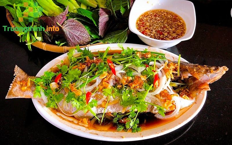                       Cá chẽm (cá vược) là cá gì? Có bao nhiêu loại? Giá bao tiền 1 kg?