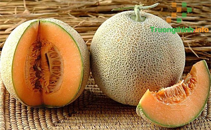                       Ăn dưa lưới có tác dụng gì? Bà bầu ăn dưa lưới được không?