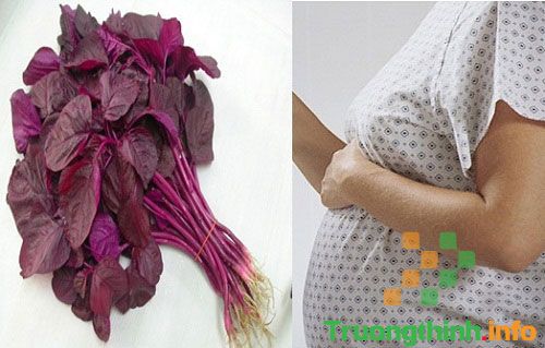                       Rau dền có tác dụng gì? Bà bầu ăn rau dền được không?
