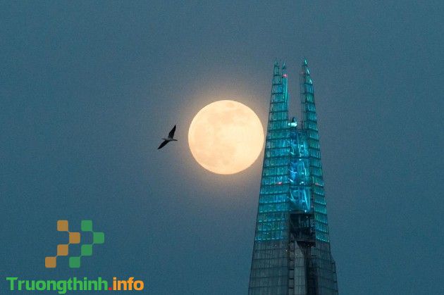                      Hiện tượng siêu trăng hồng là gì? Siêu trăng hồng diễn ra khi nào?