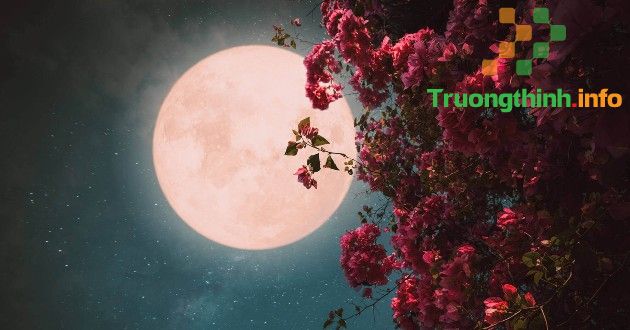 Hiện tượng siêu trăng máu là gì? Siêu trăng máu xuất hiện khi nào?