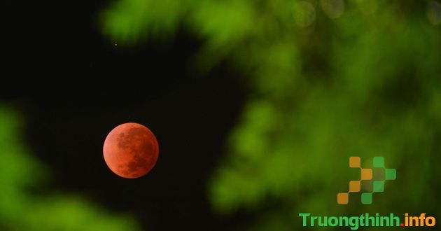                      Hiện tượng siêu trăng máu là gì? Siêu trăng máu xuất hiện khi nào?