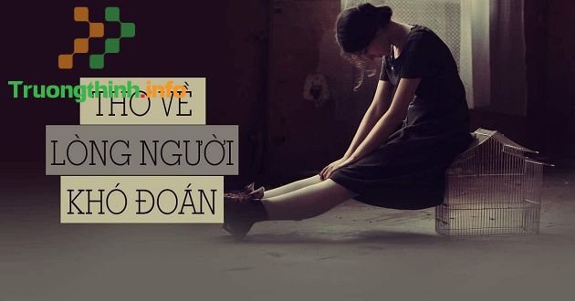                       Những câu nói hay, thâm thúy về lòng dạ con người nham hiểm