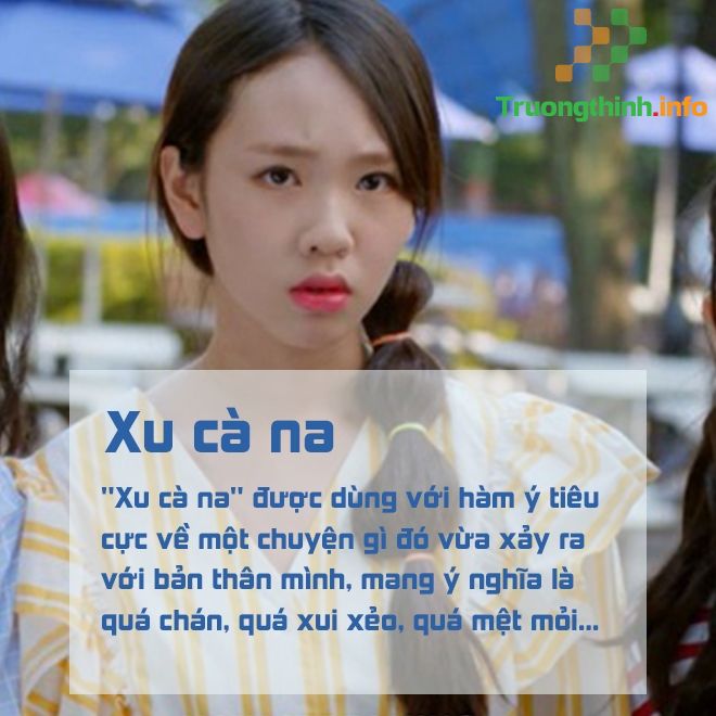                       Xu cà na là gì? Xu cà na xí muội là gì?