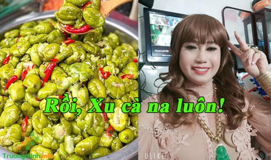 Xu cà na là gì? Xu cà na xí muội là gì?