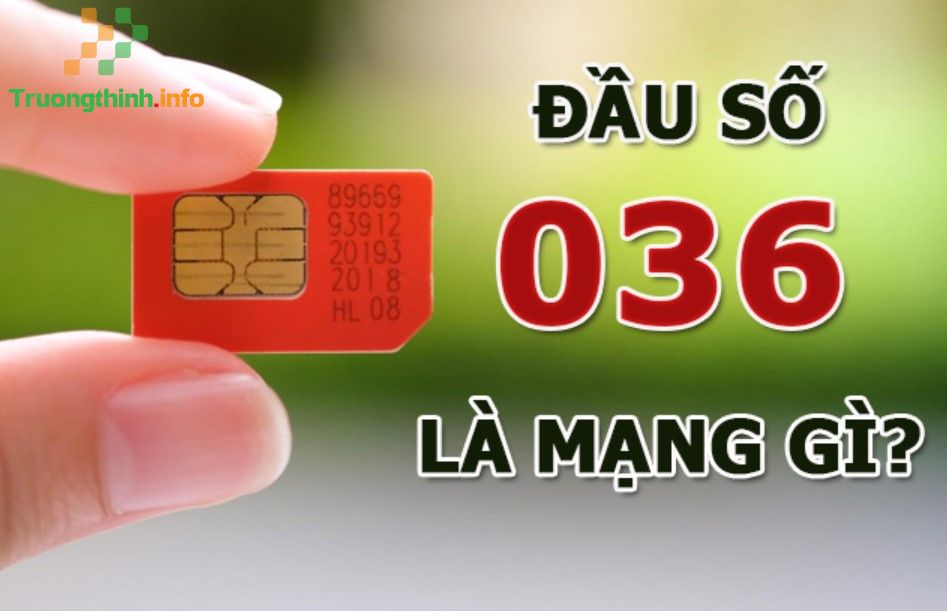                       036 là mạng gì? Đầu số 036 được đổi thành gì?