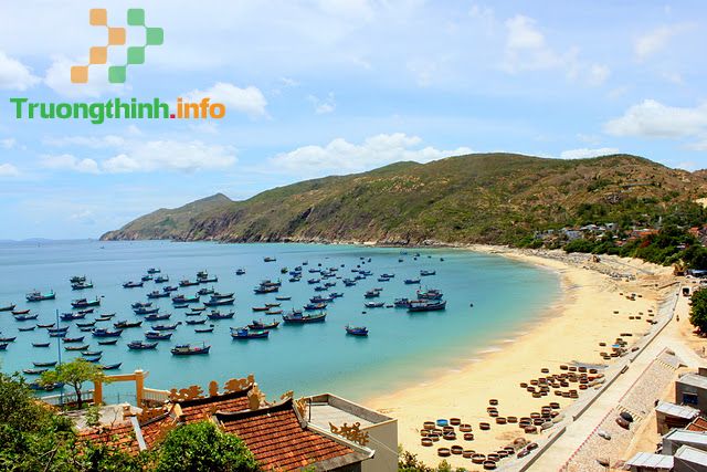                       Dân số tỉnh Bình Định 2021 có bao nhiêu triệu người?