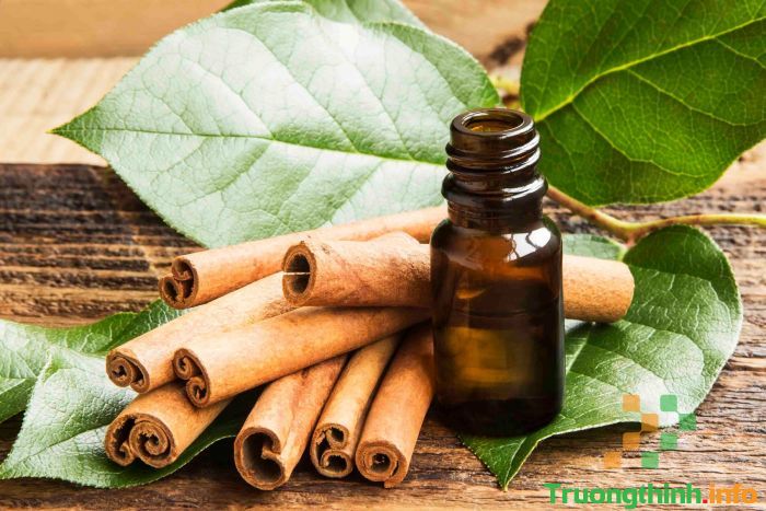                       Tinh dầu (essential oil) là gì? Mùi tinh dầu nào dễ chịu nhất?