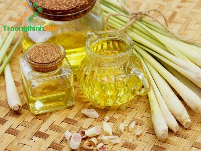                       Tinh dầu (essential oil) là gì? Mùi tinh dầu nào dễ chịu nhất?