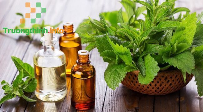                       Tinh dầu (essential oil) là gì? Mùi tinh dầu nào dễ chịu nhất?