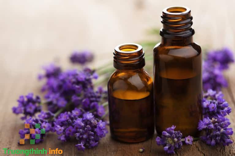                       Tinh dầu (essential oil) là gì? Mùi tinh dầu nào dễ chịu nhất?