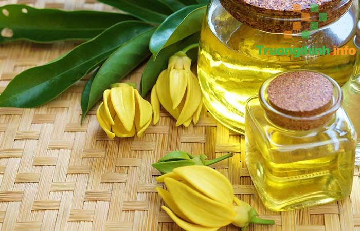                       Tinh dầu (essential oil) là gì? Mùi tinh dầu nào dễ chịu nhất?