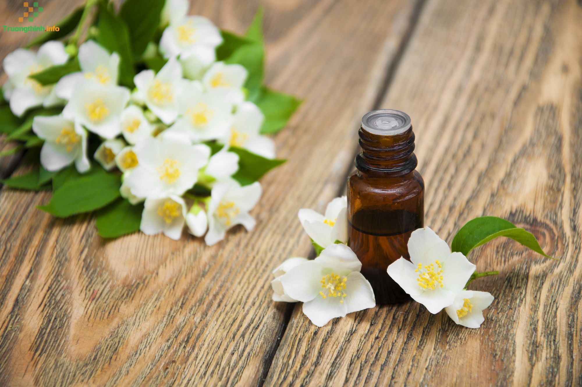                       Tinh dầu (essential oil) là gì? Mùi tinh dầu nào dễ chịu nhất?