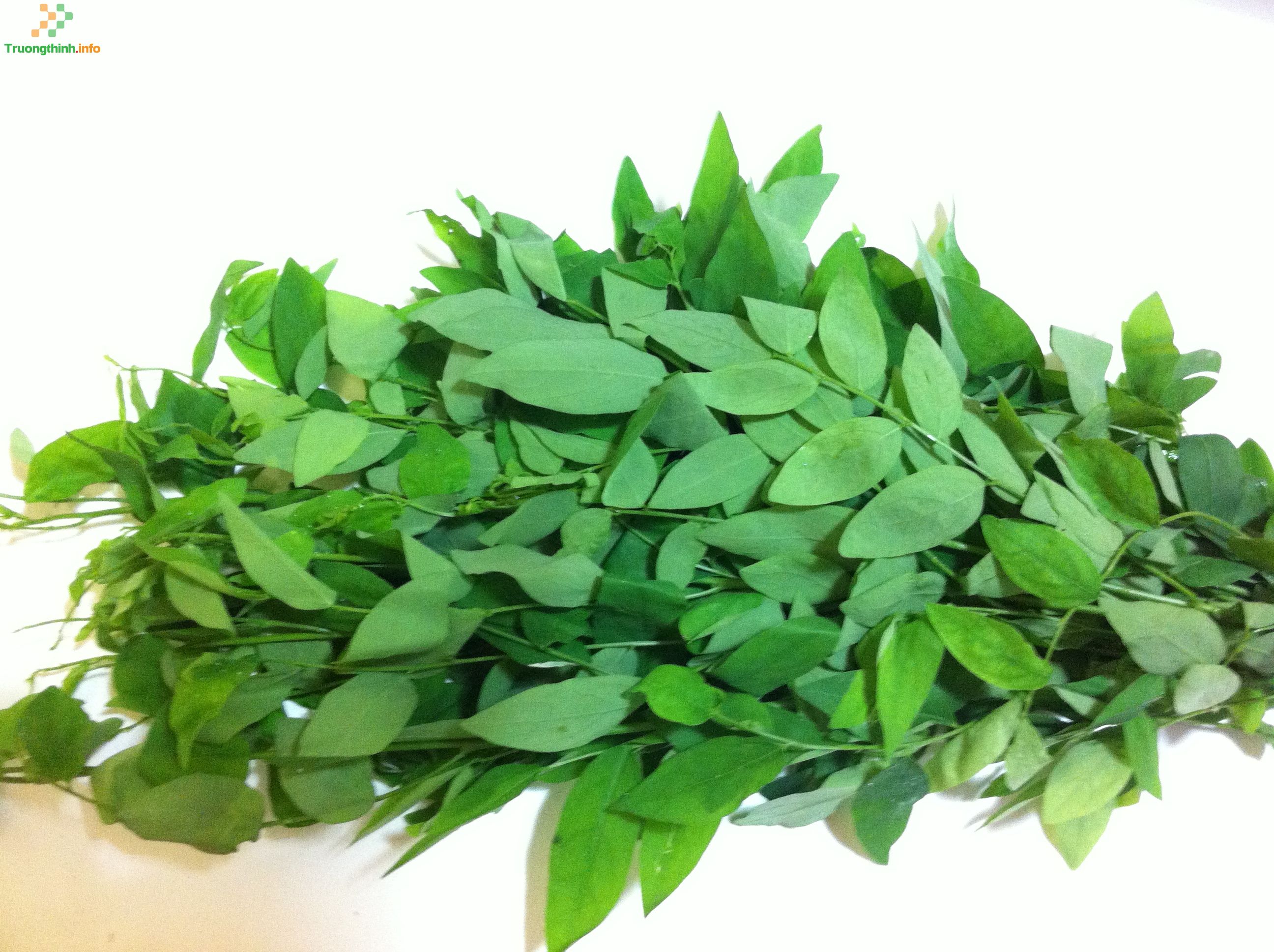                       Mẹ bầu mới có thai 3 tháng đầu không nên ăn gì, kiêng ăn gì?