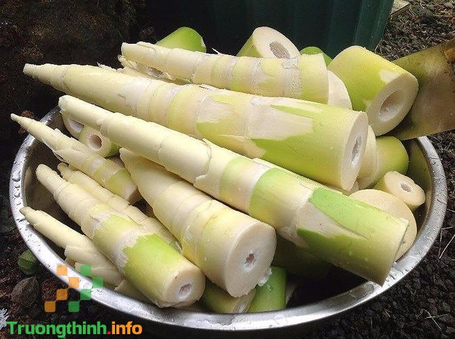                       Mẹ bầu mới có thai 3 tháng đầu không nên ăn gì, kiêng ăn gì?