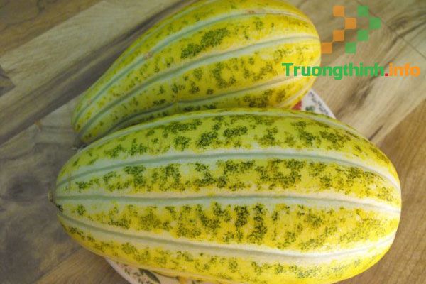                       Ăn dưa gang có tác dụng gì? Bà bầu ăn dưa gang có tốt không?