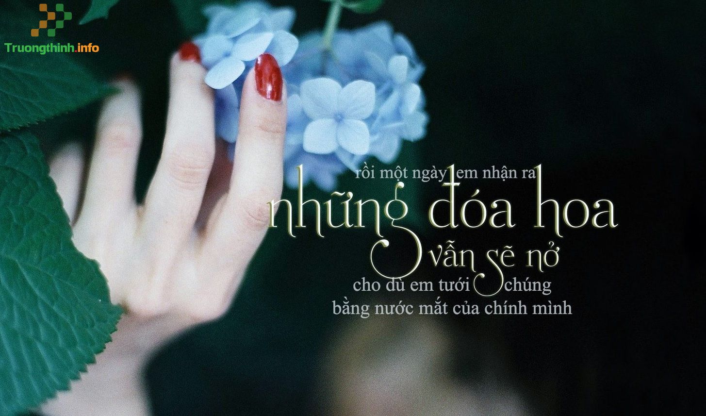                       Những trích dẫn hay nhất trong sách về tình yêu, cuộc sống