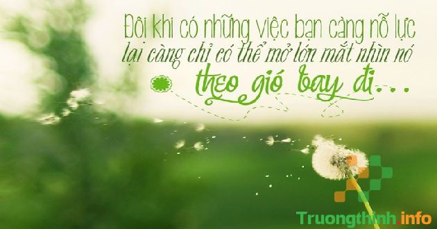 Những trích dẫn hay nhất trong sách về tình yêu, cuộc sống