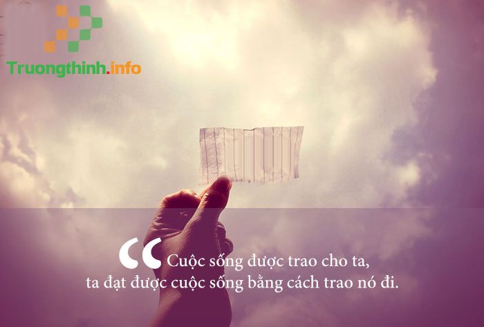                       Tổng hợp các quotes chất, độc, bá đạo nhất