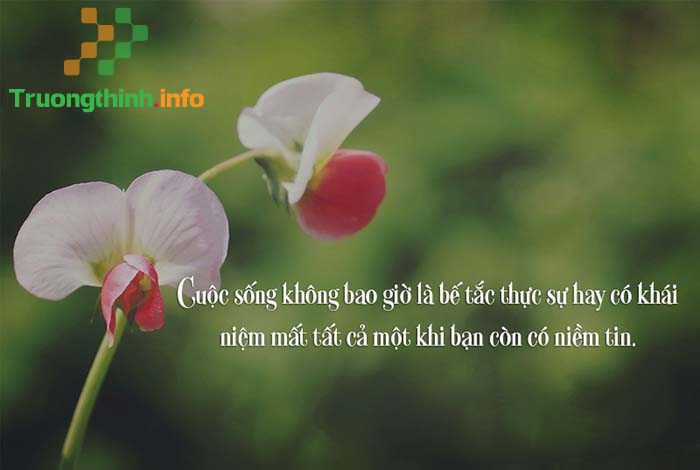 Những câu quotes hay về cuộc sống ý nghĩa nhất ai cũng nên đọc