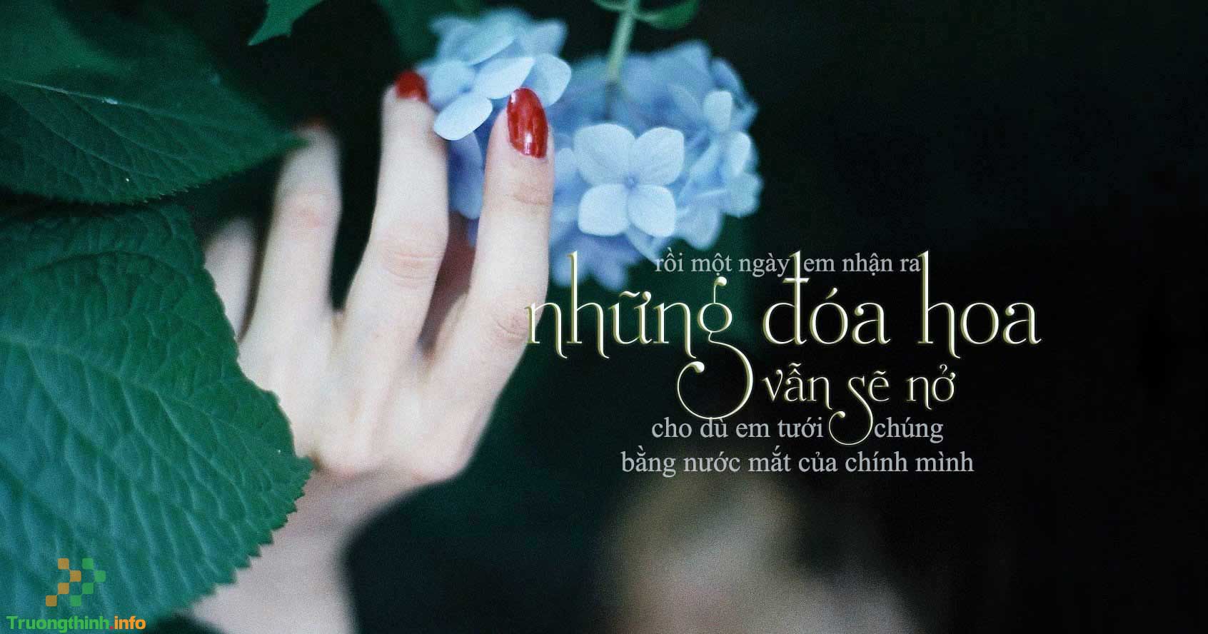                       Những câu quotes hay về cuộc sống ý nghĩa nhất ai cũng nên đọc