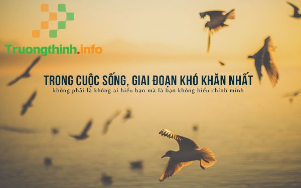                       Những câu quotes hay về cuộc sống ý nghĩa nhất ai cũng nên đọc