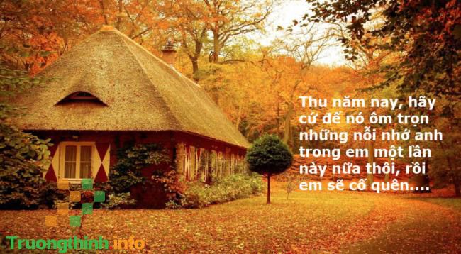                       Những câu quotes về mùa thu hay, sâu sắc, ý nghĩa nhất