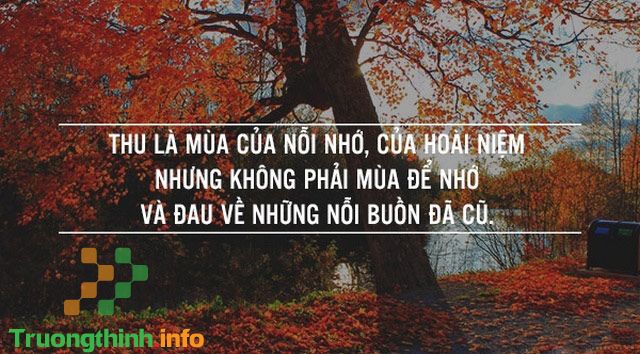                       Những câu quotes về mùa thu hay, sâu sắc, ý nghĩa nhất