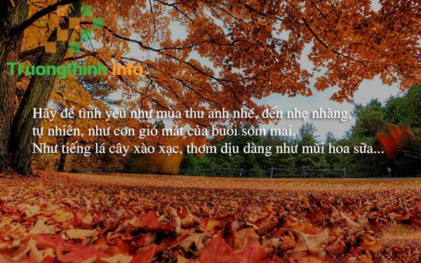                       Những câu quotes về mùa thu hay, sâu sắc, ý nghĩa nhất