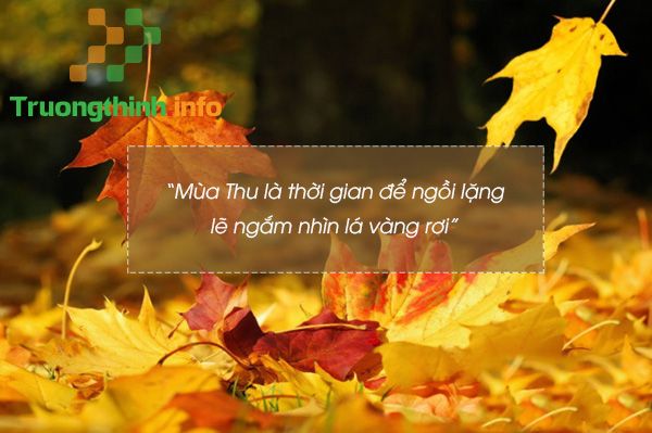                       Những câu quotes về mùa thu hay, sâu sắc, ý nghĩa nhất