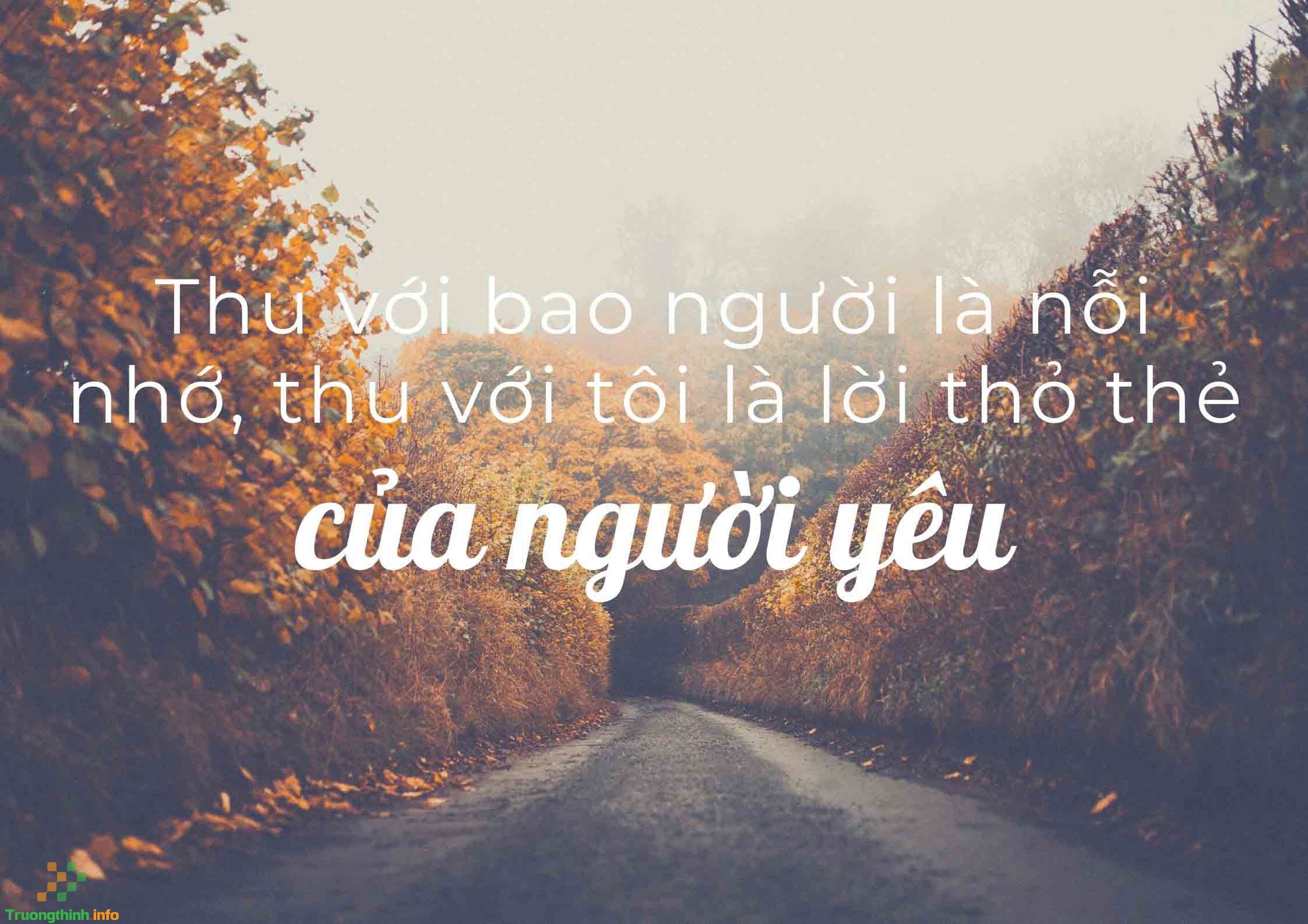                       Những câu quotes về mùa thu hay, sâu sắc, ý nghĩa nhất