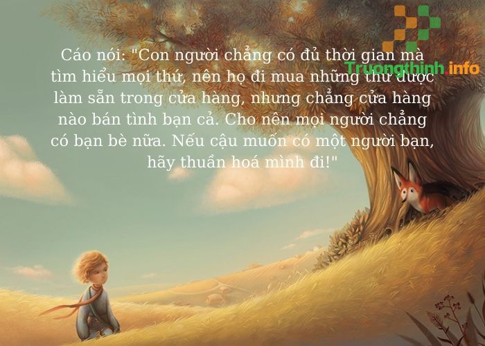                       Hoàng tử bé quotes: Những câu trích dẫn hay, sâu sắc nhất từ sách Little Prince