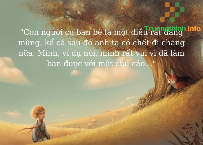                       Hoàng tử bé quotes: Những câu trích dẫn hay, sâu sắc nhất từ sách Little Prince