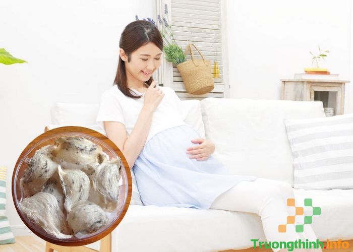                       3 Cách chưng yến cho bà bầu giúp bổ máu, đẹp da, ngủ ngon giấc