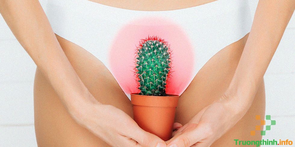                       Bệnh lậu ở nữ là gì? Biểu hiện bệnh lậu ở nữ giới thế nào?