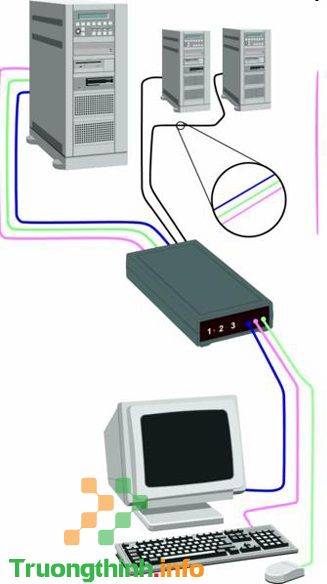                       Switch là gì? Chức năng của Switch là gì?