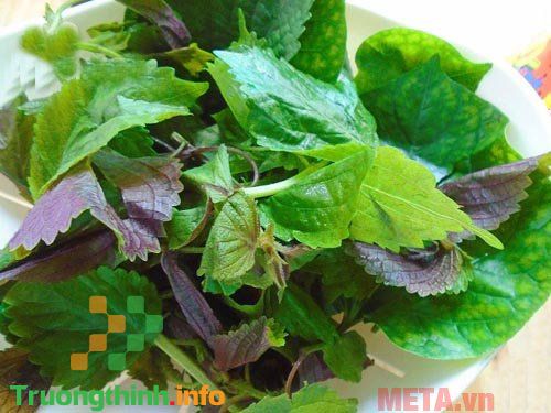                      Cách làm món cà tím bung đậu thịt đơn giản mà tuyệt ngon