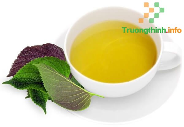                       Tác dụng của lá tía tô đối với sức khỏe và làn da