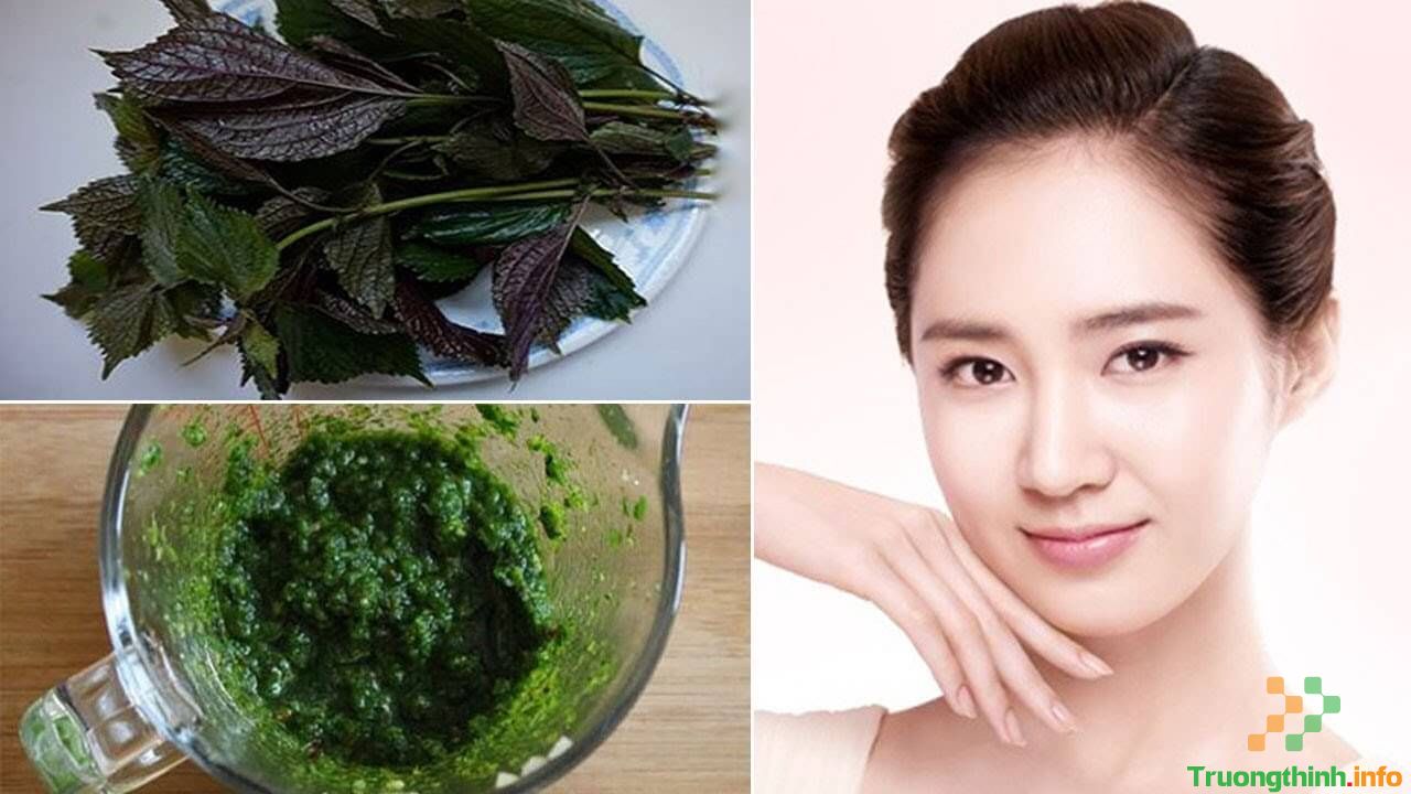 Tác dụng của lá tía tô đối với sức khỏe và làn da